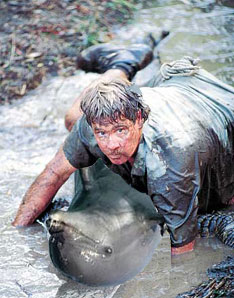 Dolphin Hunter Mud Wrestling